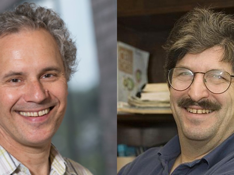 Nobel per la Medicina 2024 agli americani Victor Ambros e Gary Ruvkun per la scoperta dei&nbsp;microRNA